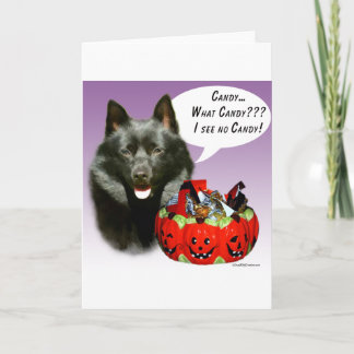 Schipperke Halloween Candy Card