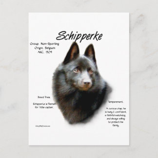 Schipperke History Design Postcard