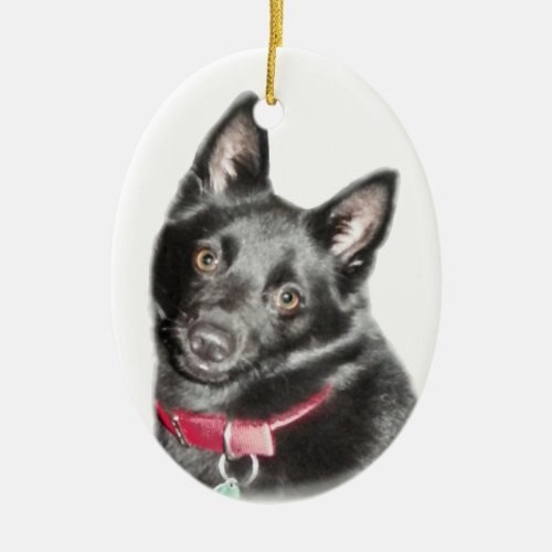 Schipperke Picture Ceramic Ornament