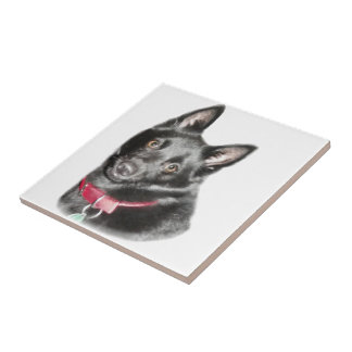Schipperke Picture Ceramic Tile