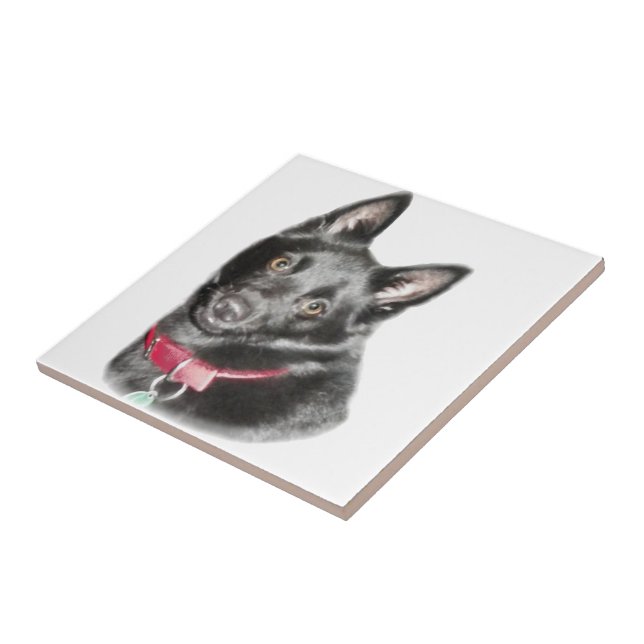 Schipperke Picture Ceramic Tile (Side)