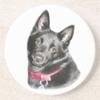 Schipperke Picture Coaster