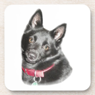Schipperke Picture Drink Coaster