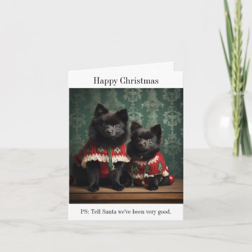 Schipperke Puppies Happy Christmas Card