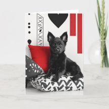 Schipperke Puppy Valentine Card