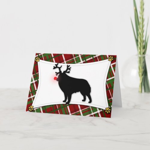 Schipperke Reindeer Christmas Card