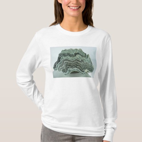 Schist rock T_Shirt