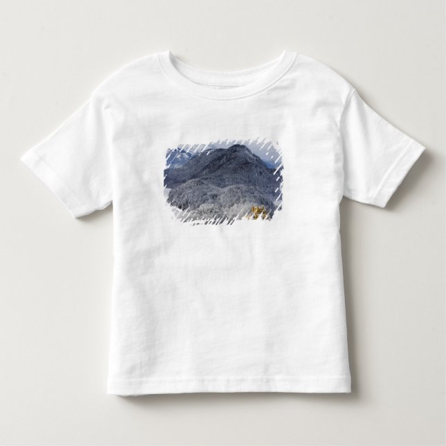 Schloss Hohenschwangau Toddler T-shirt (Front)