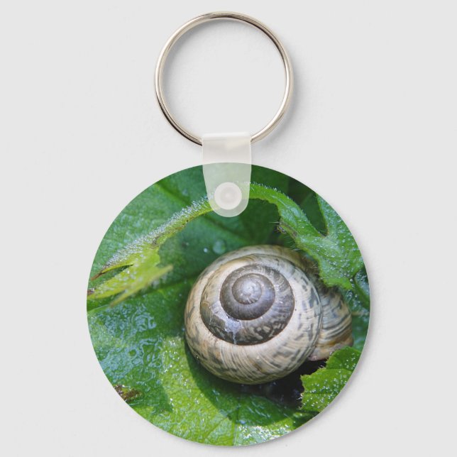 Schlüsselanhänger hübsche Schnecke Keychain (Front)