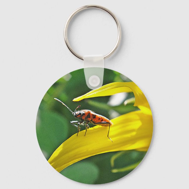Schlüsselanhänger roter Punktekäfer Keychain (Front)