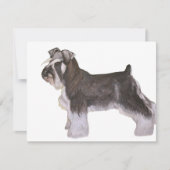 Schnauzer (Front)