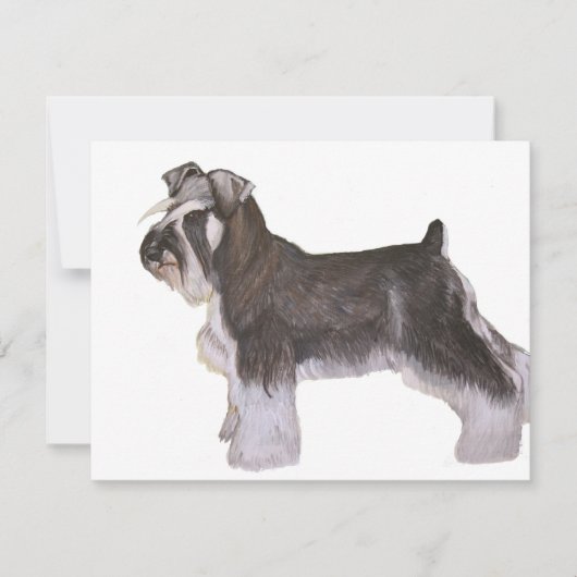 Schnauzer (Front)