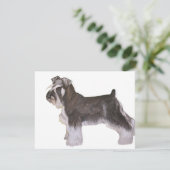 Schnauzer (Standing Front)
