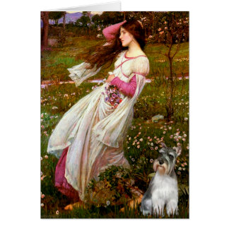 Schnauzer 11N - Windflowers Cards