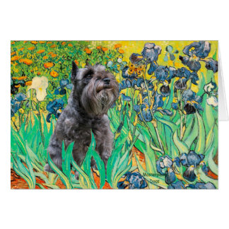 Schnauzer 12 - Irises Cards