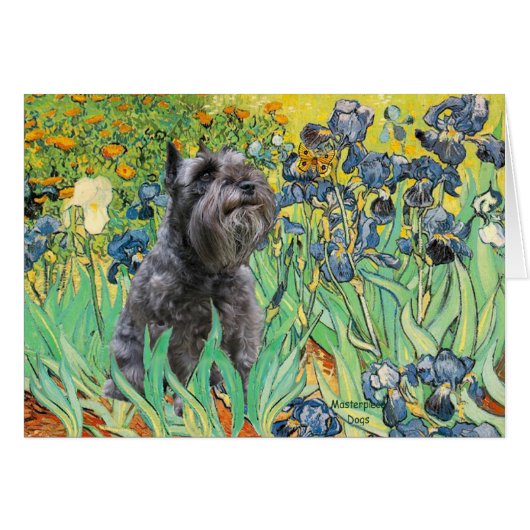 Schnauzer 12 - Irises Cards (Front Horizontal)