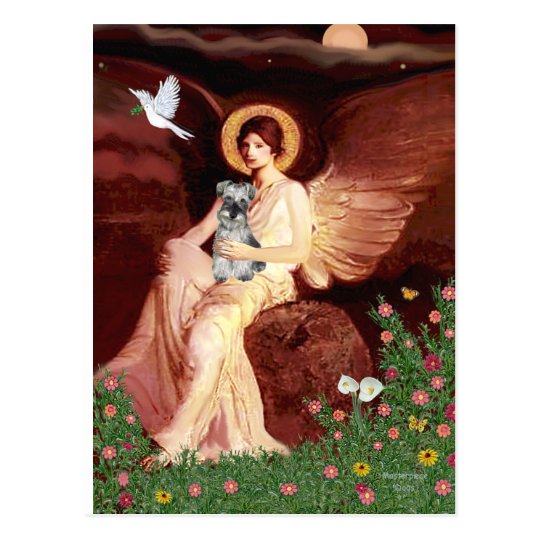 Schnauzer 1N - Seated Angel Postcard