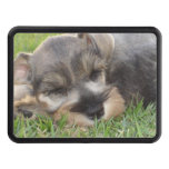 schnauzer-3 trailer hitch cover