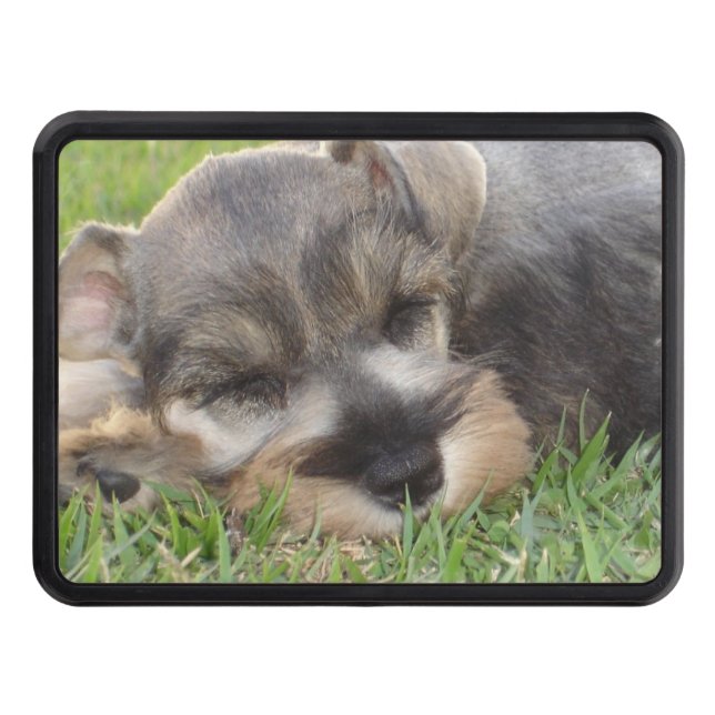 schnauzer-3 trailer hitch cover (Front)