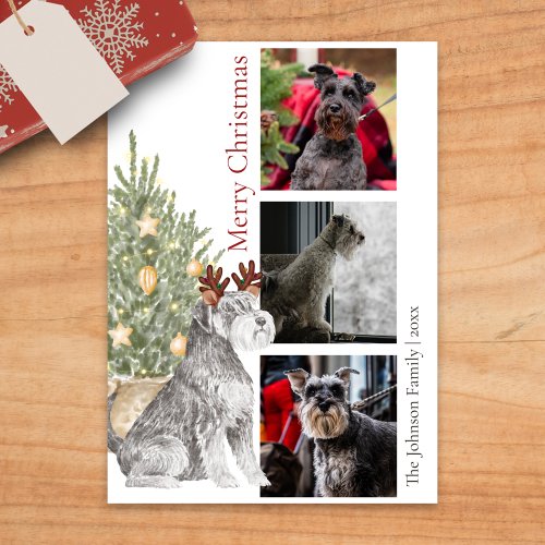 Schnauzer and Christmas Tree Pet Dog Photo Holiday Card