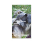 Schnauzer Business Cards