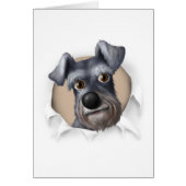 Schnauzer Busting Out (Front)