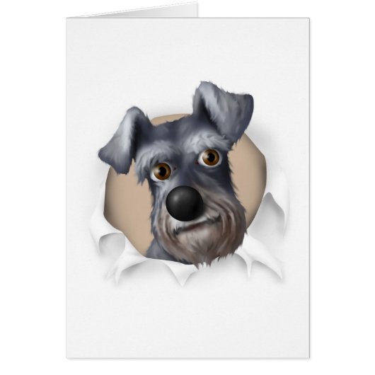 Schnauzer Busting Out Cards (Front)