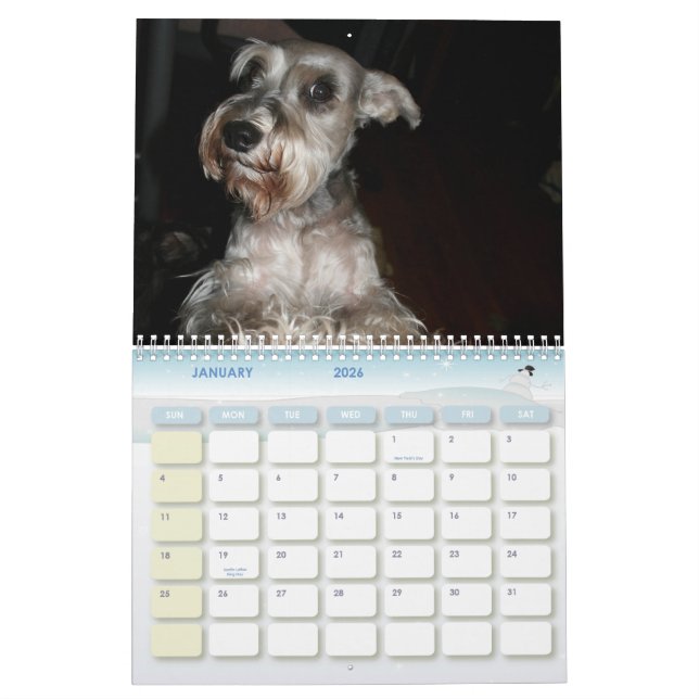 Schnauzer Calander Calendar (Jan 2026)