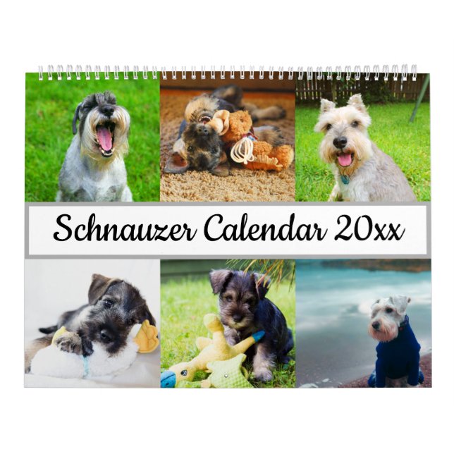 Schnauzer Calendar (Cover)