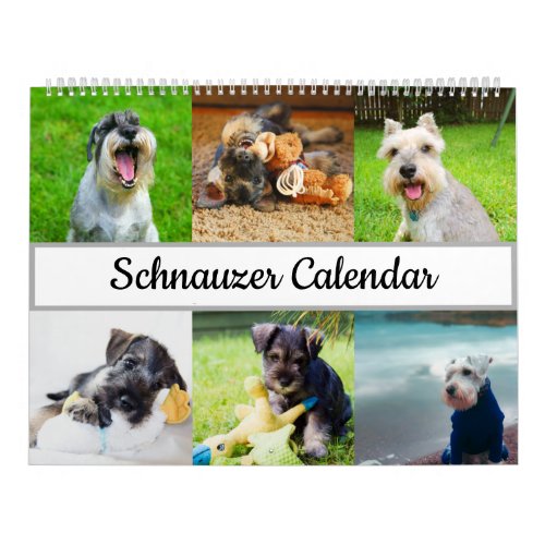 Schnauzer Calendar