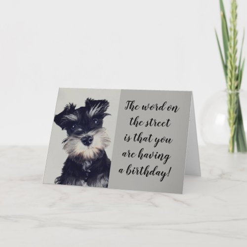 SCHNAUZER CANT BELIEVE THE NEWS 50 CARD