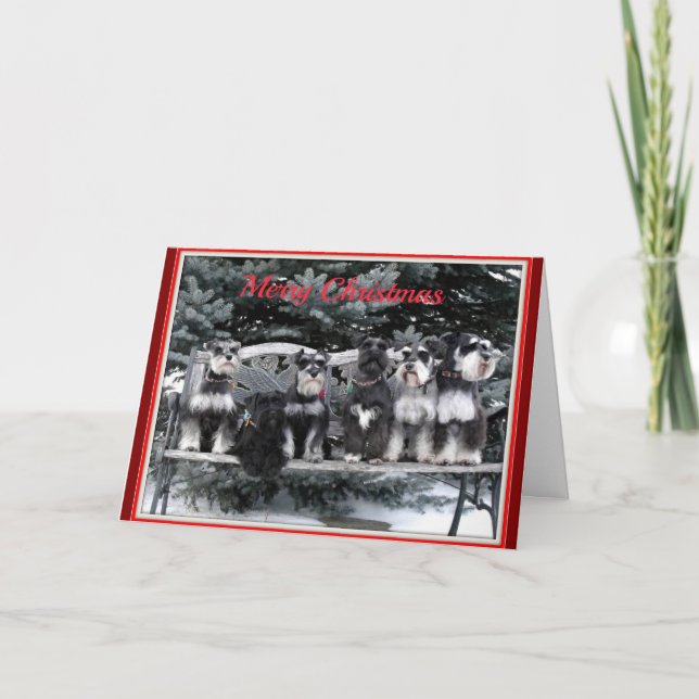 Schnauzer Christmas Card (Front)