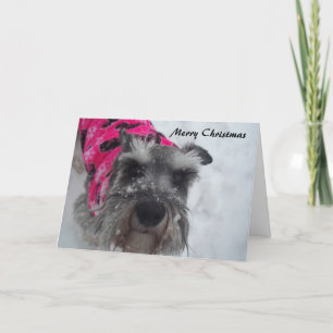 Schnauzer Christmas Card