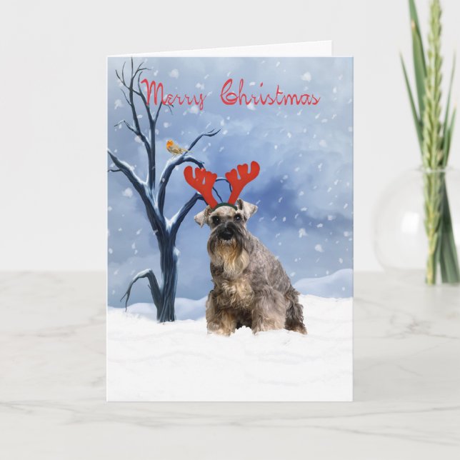 schnauzer christmas card - schnauzer has reindeer (Front)