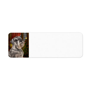 Schnauzer Christmas Return Address Labels