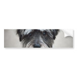 Schnauzer Dog Bumper Sticker