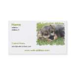 Schnauzer Dog Business Card