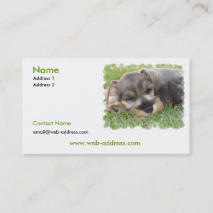Schnauzer Dog Business Card