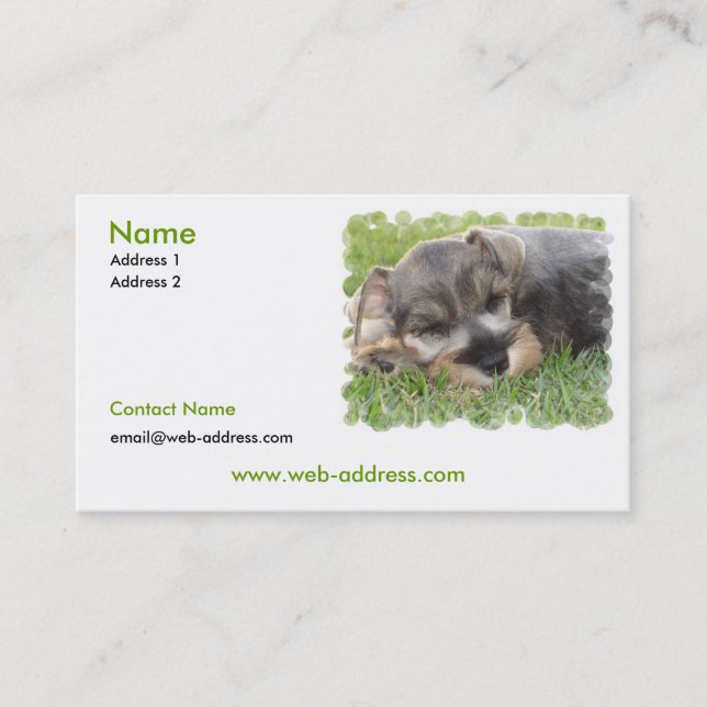 Schnauzer Dog Business Card (Front)