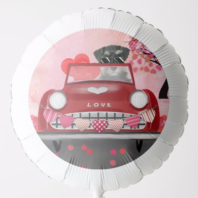 Schnauzer Dog Car with Hearts Valentine's  Balloon (Front)
