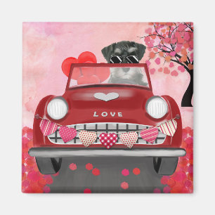 Schnauzer Dog Car with Hearts Valentine's  Magnet