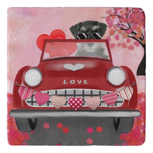 Schnauzer Dog Car with Hearts Valentines Trivet