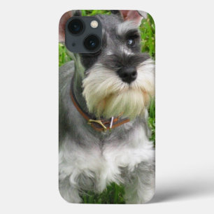 Schnauzer Dog iPhone 13 Case