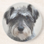 Schnauzer Dog Coaster