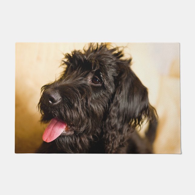 Schnauzer Dog. Doormat (Front)