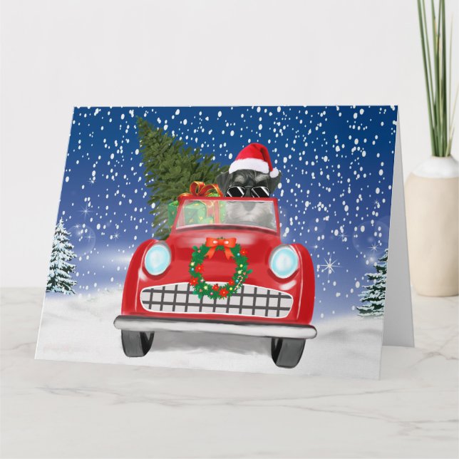 Schnauzer Dog Driving Car In Snow Christmas  Card (Front)