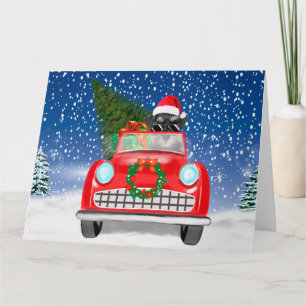 Schnauzer Dog Driving Car In Snow Christmas Card