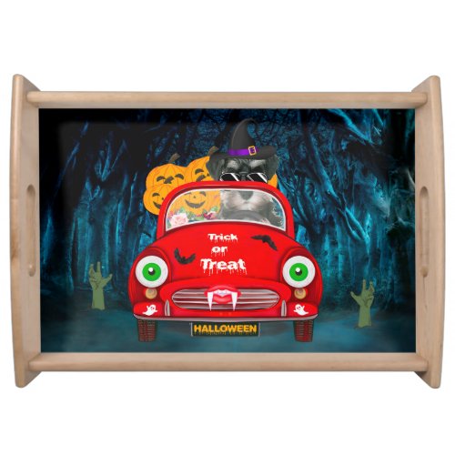 schnauzer Dog Driving Car Scary Halloween  Serving Tray