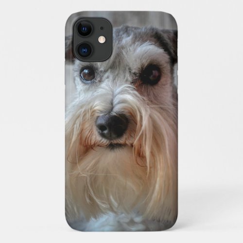 Schnauzer Dog face iPhone 11 Case