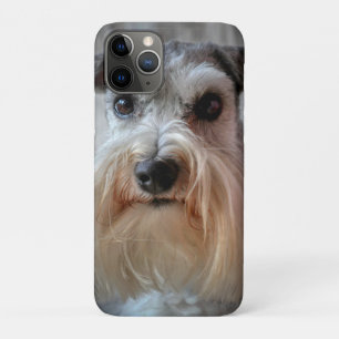 Schnauzer Dog face iPhone 11 Pro Case
